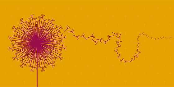 logo for culture seeds (orange background with dandelion 